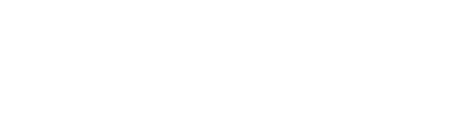 CINS1 Consulting